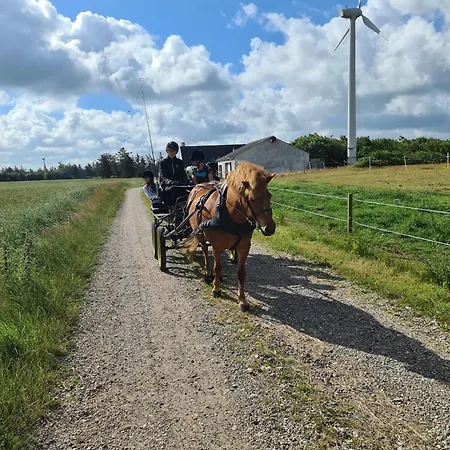Country In Cosy With Horses * Bovlingbjerg